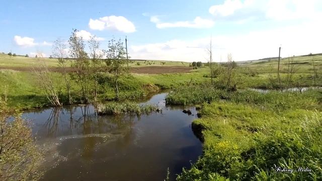 Рыбалка в Самарской области. Много сазанов, а не клюют! смотреть онлайн