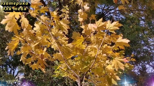 Сегодня 12 октября денежный день, напишите эту цифру. Послание от Архангела Михаила. Лунный день смотреть онлайн