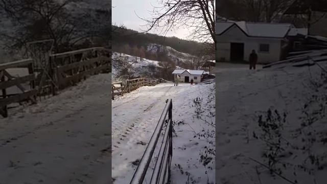 Incredible Appaloosa Horse / Невероятная пятнистая лошадь чубарой масти Аппалуза / Sweet Appaloosa смотреть онлайн