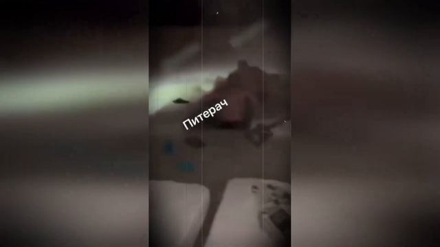 Нашли тело женщины утонувшей на Крещении. Возбудили уголовное дело. смотреть онлайн