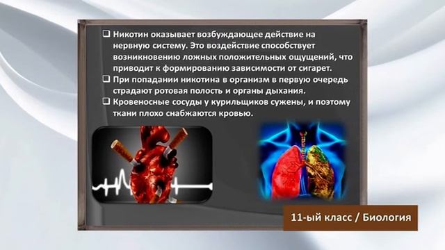 “Dərs vaxtı”: 11-ci sinif dərsləri ( rus bölməsi) (10.06.2020) смотреть онлайн