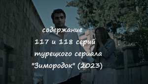 Содержание 117 и 118 серий (ФИНАЛ СЕЗОНА) турецкого сериала "Зимородок" (РФ, 2023)
