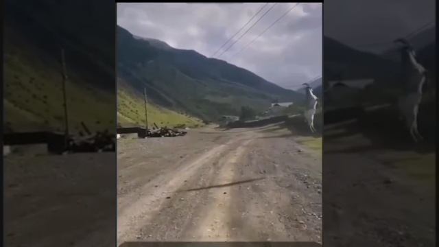 Видео из Инстаграма