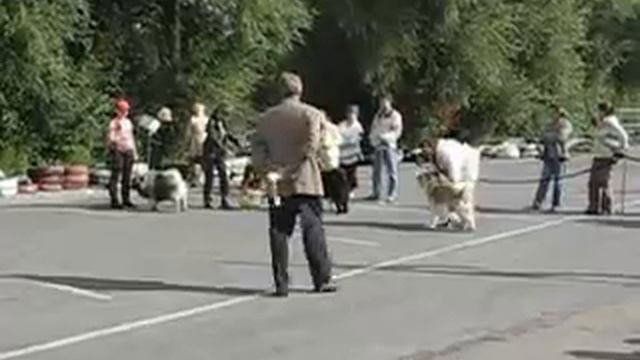 ЧАУ-ЧАУ_ОМСК_05.09.2009 смотреть онлайн