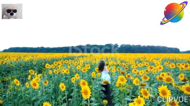 шикарная 2020г.песня!!!(Останови часы на Миг)SEUEROSE. смотреть онлайн