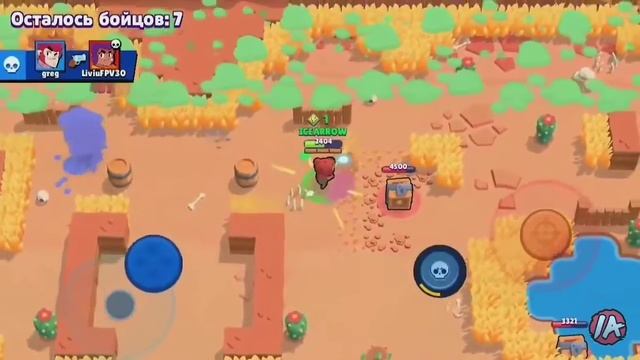 Самый сильный медведь смотреть онлайн