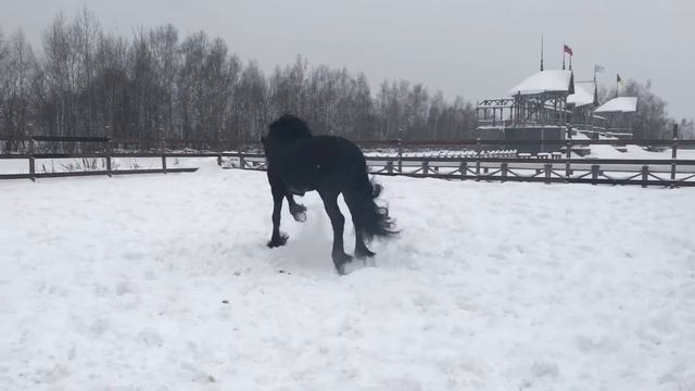 Рингерс Вейрон смотреть онлайн