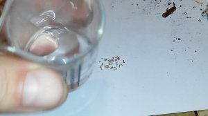 Реле РПВ2/7 содержащие 50% золота ,50% платины