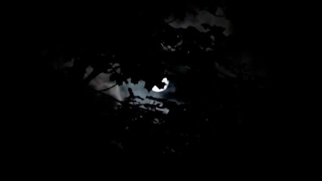 Бешеный -"Евдоким" Алекс Оголтелый Народное ополчение смотреть онлайн