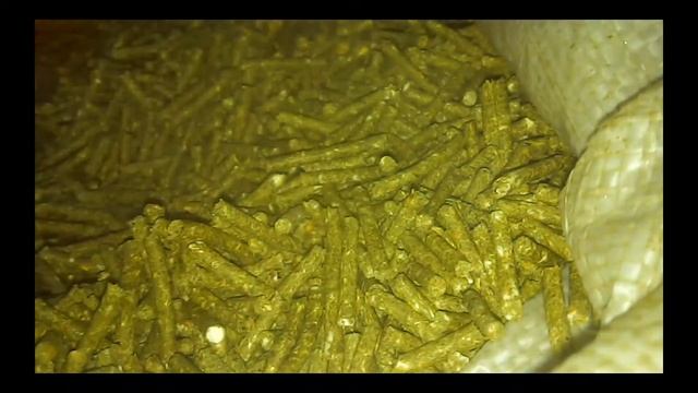 Из-за мелкой травяной муки гранула при выходе из гранулятора уже звонкая и твердая! granule solid! смотреть онлайн