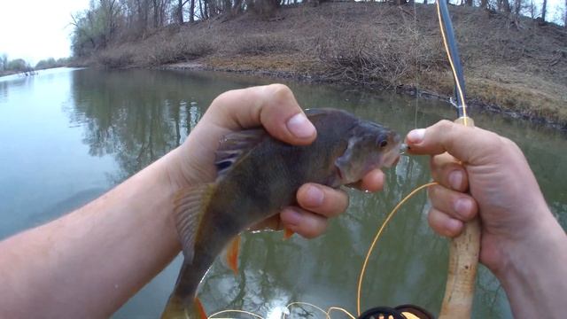 Калмыкия. Река Цаган-Аман. Ловля нахлыстом. смотреть онлайн