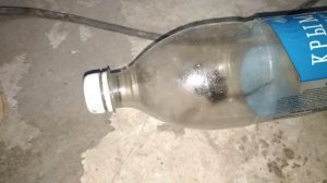 КАК ПОЙМАТЬ МЫШКУ В ДОМАШНИХ УСЛОВИЯХ