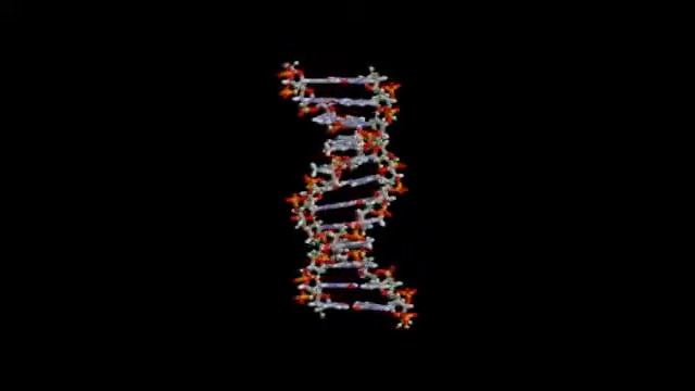 Фундаментальные свойства живых систем