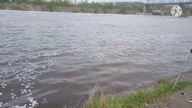 лещь на шлюзу смотреть онлайн