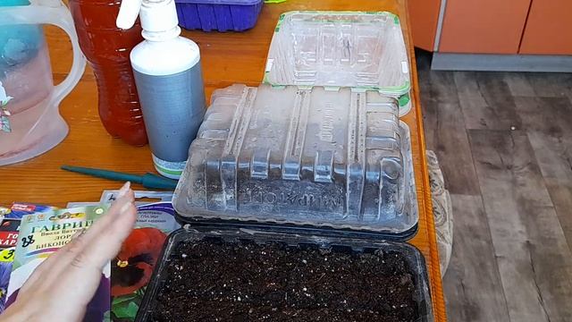 Виола.Посев на кипяток.????????