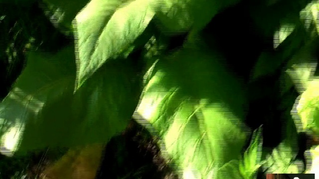 как сделать табак на свой вкус смотреть онлайн