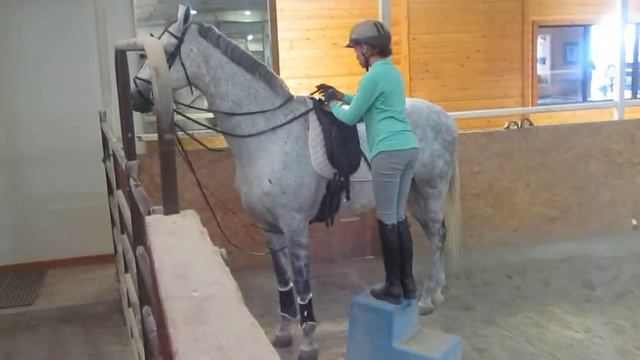 Hunter Weston training at Coyote Creek Stables 8 смотреть онлайн
