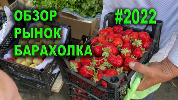 Обзор рынка продуктов | 2022 | Bear asmr