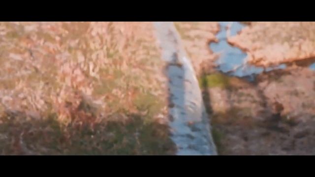 Walking with Fujifilm X-T20/ Cinematic Vlog смотреть онлайн