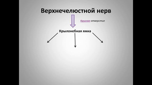 Его Величество Тройничный нерв смотреть онлайн