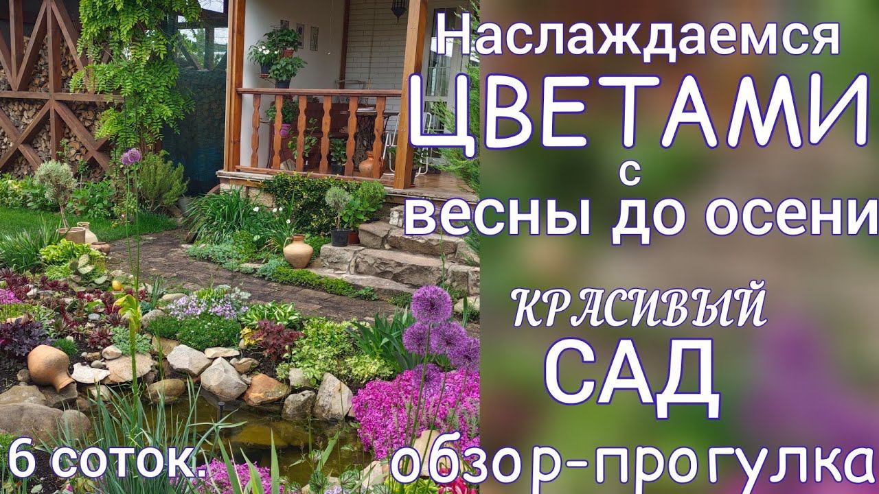 Прогулка по САДУ 12 июня . Расцвёл ДИКОВИННЫЙ почвопокровник