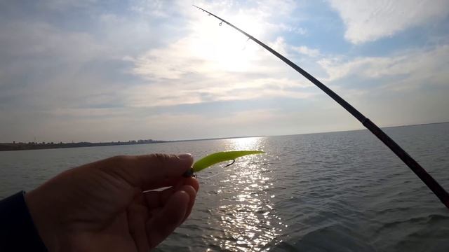 ОТЛИЧНАЯ рыбалка на Весёловском водохранилище! смотреть онлайн