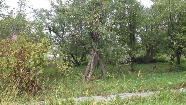 Не с закатом... смотреть онлайн