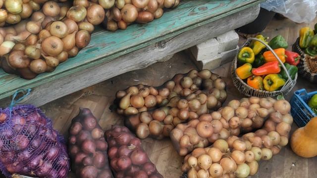 ЛУК ШЕКСПИР И ГЕРКУЛЕС стал фаворитом на моей даче. Посадка лука под зиму смотреть онлайн