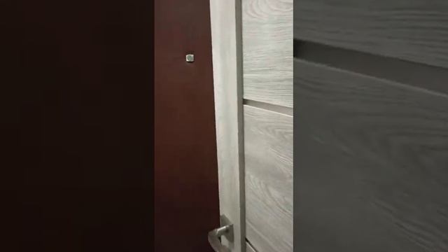 1комн.кв Ротерта, дом 1 смотреть онлайн