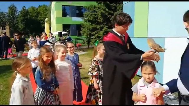 Праздник в стиле Гарри Поттер . Сова в аренду. Животные для съемок смотреть онлайн