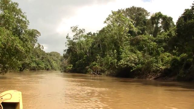 Sun; Amazon Forest. Солнце, Амазония (1803sp) смотреть онлайн
