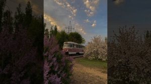 Диана Гурцкая - нежная (ненапрасно я мучилась, знаешь как соскучилась)