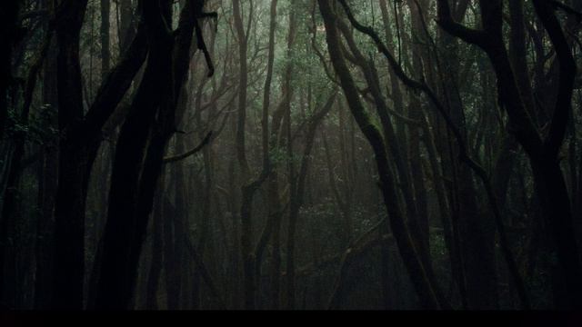 You Run Into A Dark Desperate Lamia Girl Deep In The Forest After Getting Lost / Asmr vore #lamia смотреть онлайн