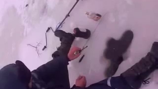 Ловля карася зимой в Беларуси.mp4 смотреть онлайн