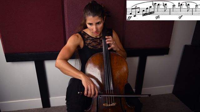 Strauss Salome - Cello Excerpt смотреть онлайн