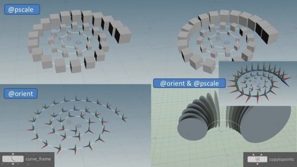 ammonidea part3 - the spiral in more detail