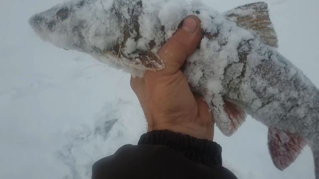 Рыбалка или просто отдых ! смотреть онлайн