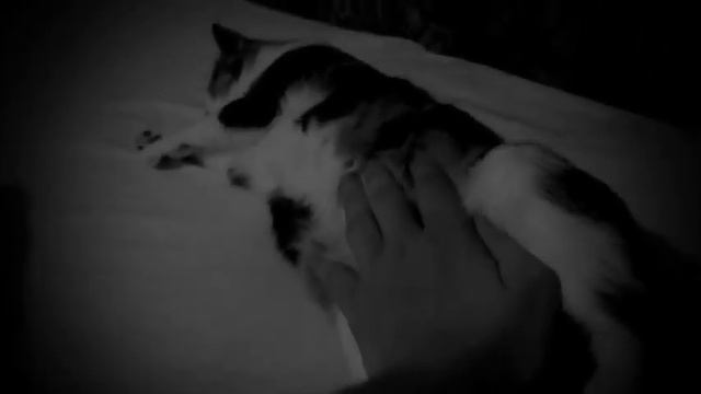 kitty смотреть онлайн