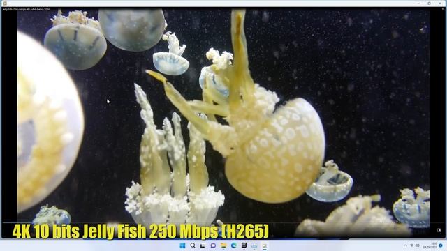 El MINI PC Intel que CUESTA la MITAD de un MAC MINI de Apple смотреть онлайн