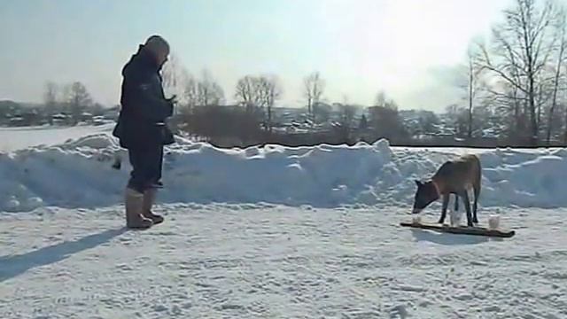 Эффа выборка вещи смотреть онлайн