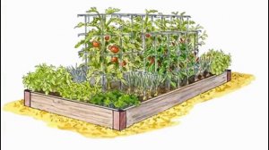 100 идей как сделать красивые грядки на даче