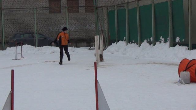 Д-Open Small - Шинкаревич Любовь и немецкий шпиц малый Сима смотреть онлайн