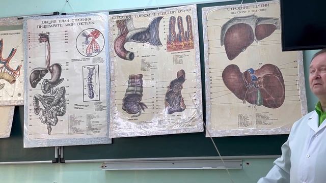 Лекция "Анатомия и физиология толстого кишечника" смотреть онлайн