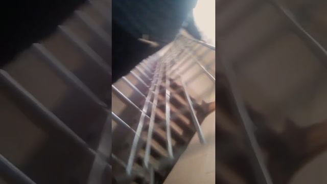 Это школа смотреть онлайн