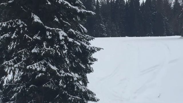 Горный снегоход в Перми смотреть онлайн