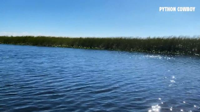 Hunting Pythons On Python Island With The Python Cowboy Part 2 смотреть онлайн
