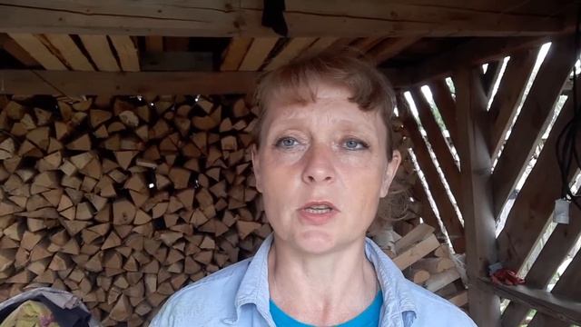 Покупка доильного аппарата смотреть онлайн