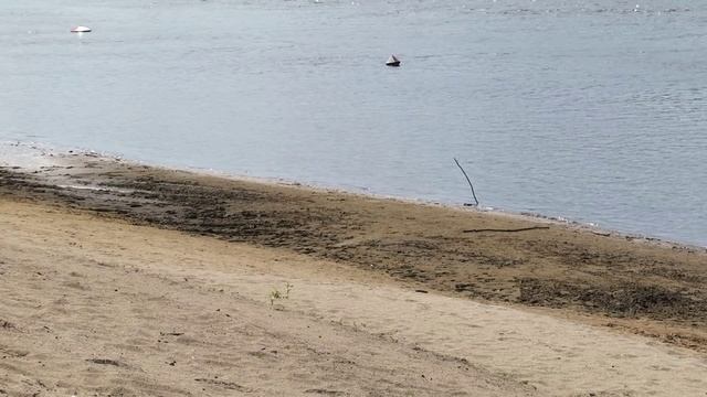 состояние воды в реке смотреть онлайн