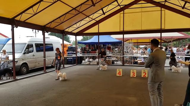 САСIВ в Курске 29.07.2018. Сравнение на ВОВ. смотреть онлайн