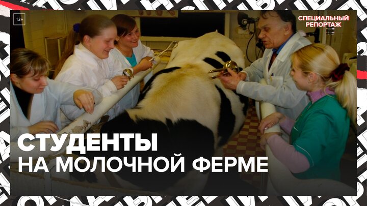 "Актуальный репортаж": как студенты работают на молочной ферме Росбиотеха - Москва 24 смотреть онлайн